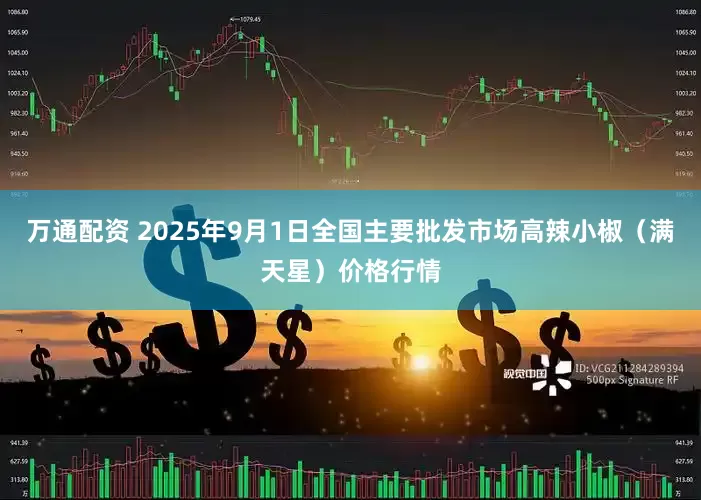 万通配资 2025年9月1日全国主要批发市场高辣小椒（满天星）价格行情