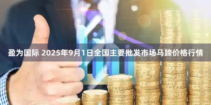 盈为国际 2025年9月1日全国主要批发市场马蹄价格行情