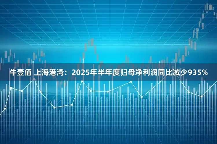 牛壹佰 上海港湾：2025年半年度归母净利润同比减少935%